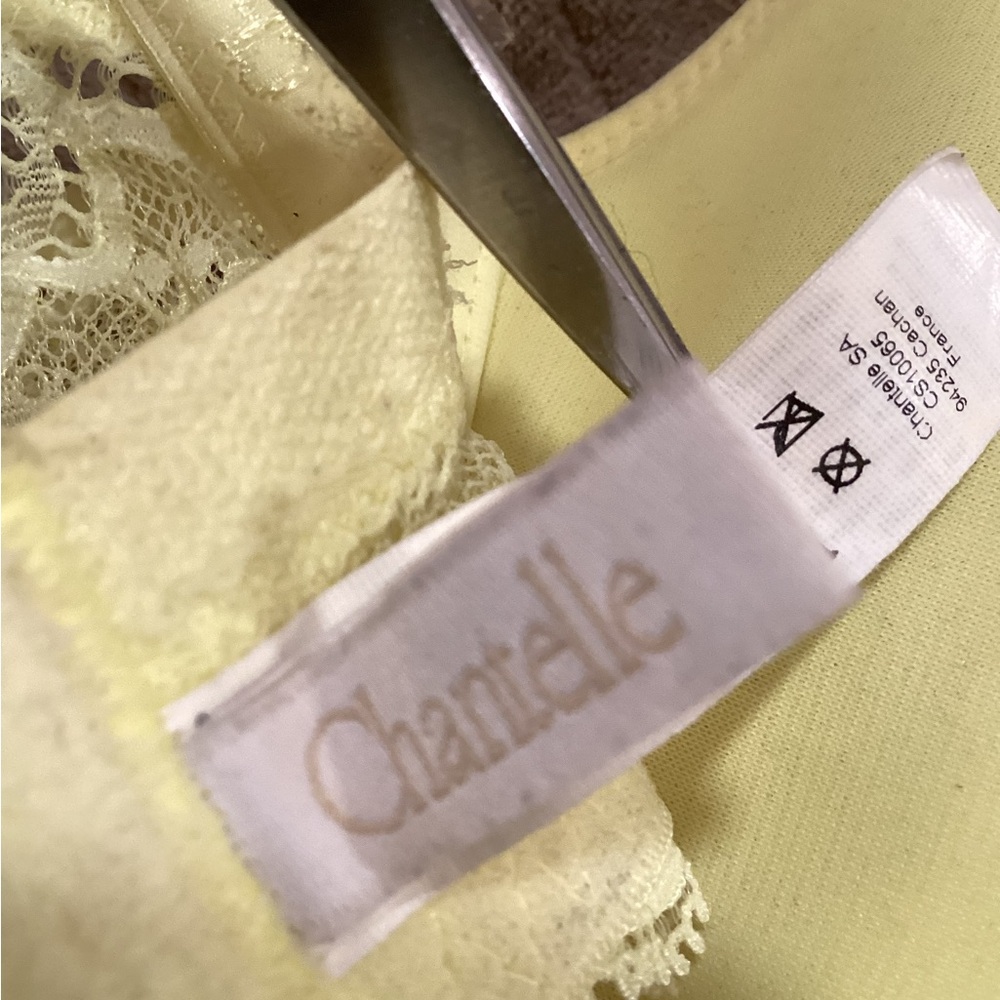 Chantelle “Paresian” Underwire Tshirt Bra 36D - Picture 10 of 14